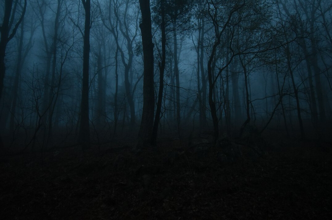 dark forest mystery
